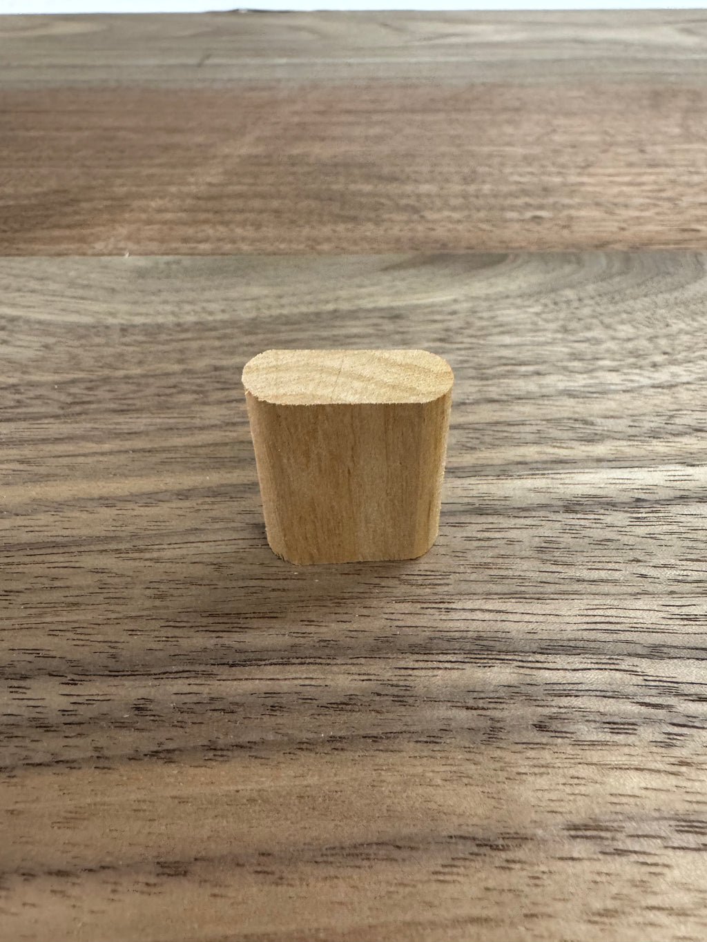 10mm X 30mm Wooden Domino